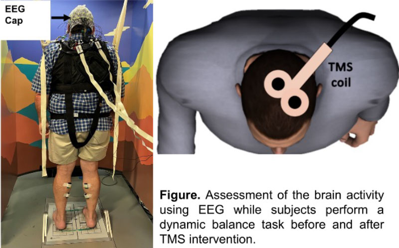 Assessment of the brain activity using EEG while subjects perform a dynamic balance task before and after TMS internvention.