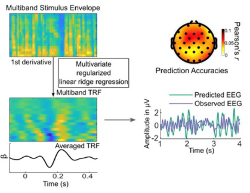 Multiband Stimulus Envelope