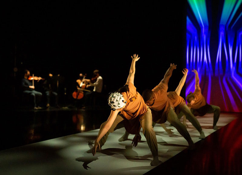 Examining how the brain of dancers are engaged and communicate with each other during performance.